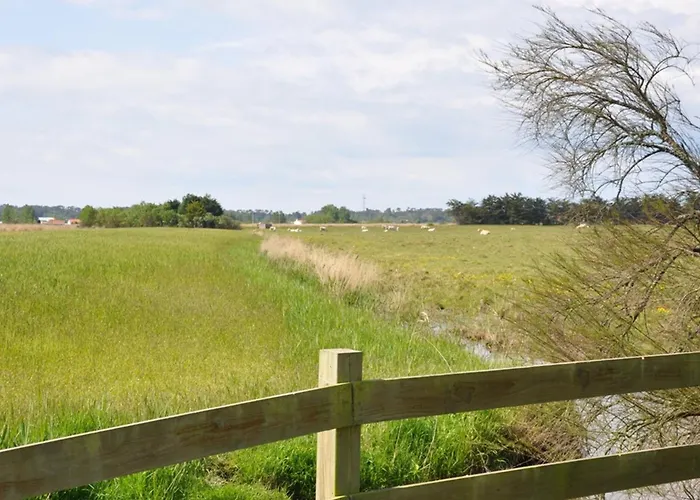 Maison 2 Proche Et Commerces, Terrasse Couverte - Fr-1-323-284