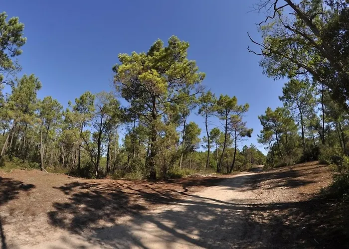 펜션 Maison 2 Proche Et Commerces, Terrasse Couverte - Fr-1-323-284